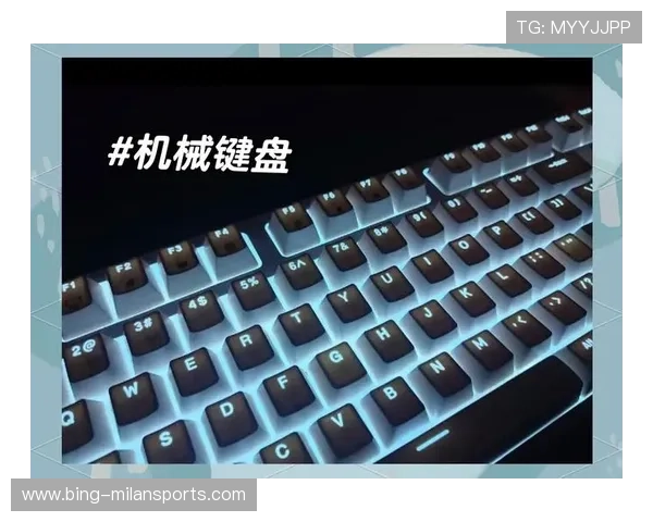 全网热议机械键盘排名直播实测热门轴体手感对比与性价比深度解析